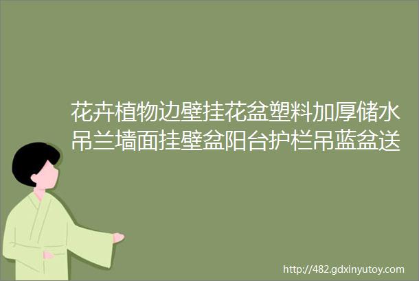 花卉植物边壁挂花盆塑料加厚储水吊兰墙面挂壁盆阳台护栏吊蓝盆送挂钩