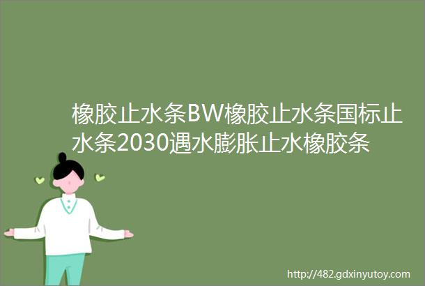 橡胶止水条BW橡胶止水条国标止水条2030遇水膨胀止水橡胶条