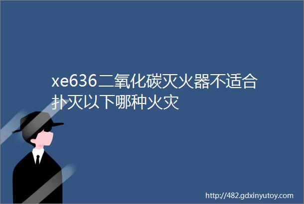 xe636二氧化碳灭火器不适合扑灭以下哪种火灾