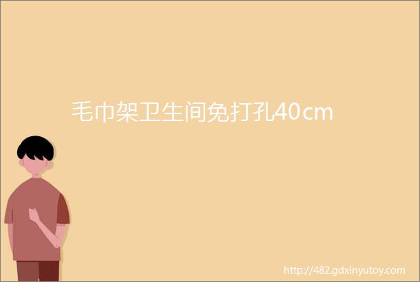 毛巾架卫生间免打孔40cm